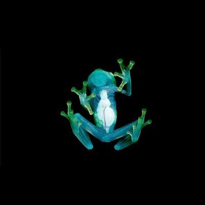 SAWTA7_'s profile picture. 東京の映像会社で、背景アーティストとして働いています！