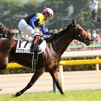 【日刊競馬】南雲（キャビン） (@n6712611585363) 's Twitter Profile Photo