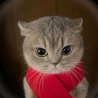 Hamit (@beklebidakika) Twitter profile photo