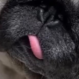 chnshngxing6's profile picture. 🐸