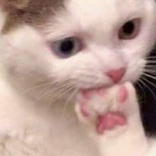 ซึม