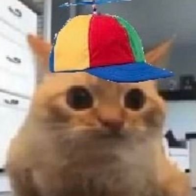 sintaxerr00r's profile picture. ( ´～｀)