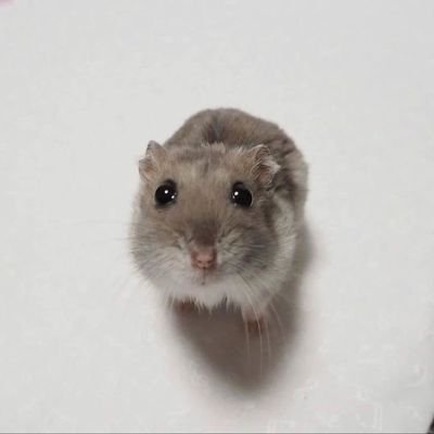 미친놈さんのプロフィール画像