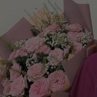Asoom (@soma6x_) 's Twitter Profile