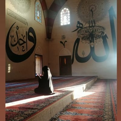 Ne mutlu Müslümanım diyene!!!
safımız belli karınca misali..
özgürlük Filistin için 
özgürlük zülm gören her musluman için...