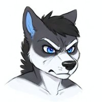 Chris the husky (@christhehusky) 's Twitter Profile