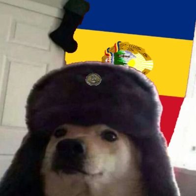 MichaelFN20's profile picture. Im Romanian🇷🇴 and im proud to be a Romanian also hi,im interested in politics and i also hate the ppl that lead our country