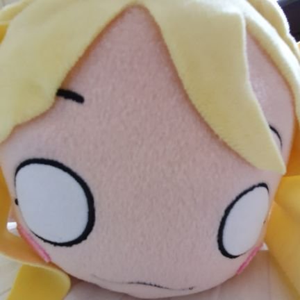 seashellm1shell's profile picture. mishell seashells by the mishore