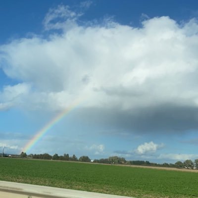 notarmy62's profile picture. 