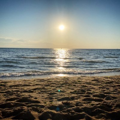 mp194o's profile picture. 