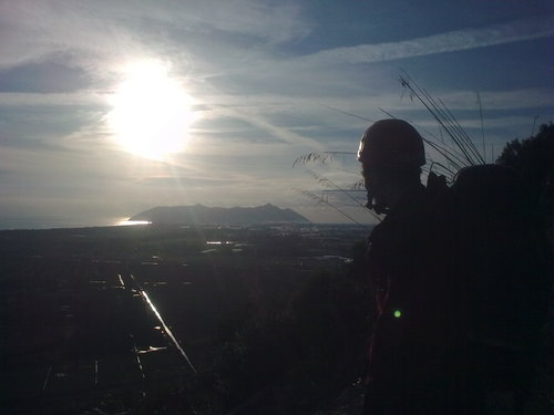 seibipiu's profile picture. 