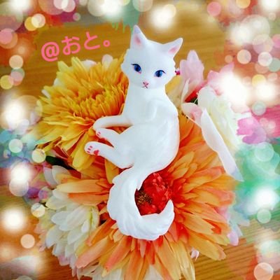 オタク趣味全開の雑多アカウント/成人済/可愛いもの好き/仕事で多忙/SHK在住/審神者業兼務/刀の推しは🕯と🎍/1st.ブルベ冬 2nd.ブルベ夏 骨スト ソフエレの民と判明/フォローはお気軽に