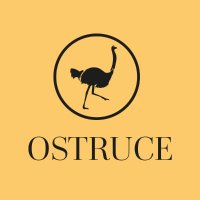 Ostruce(@Ostruce) 's Twitter Profile Photo