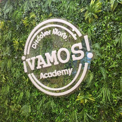 At Vamos Academy Spain, we pride ourselves on our personalized, professional approach to Spanish learning. Join us and master Spanish while experiencing Spain's