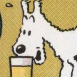 カラスになりたい女さんのプロフィール画像