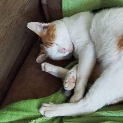 KayHurghada's profile picture. 