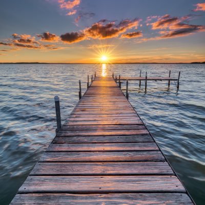 SeabrooksUrious's profile picture. 