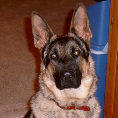JohB777's profile picture. Conservative Christian, Grandpa, Cold War USAF Vet 207X2, F16 Avionics 1A, 2A supporter, Ham Radio since a kid, supporting LE since 92. 🚫No Porn, or Crypto🚫