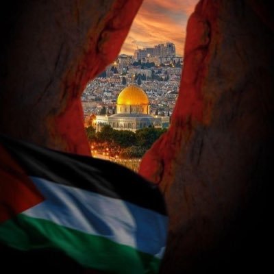 mahmad_A__fouad's profile picture. This Time will pass 😉🤗