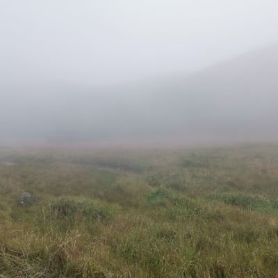 whynotyoups's profile picture. 程序员