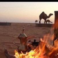 القادم جميل ❤️ (@basem8159130943) 's Twitter Profile Photo القادم جميل ❤️ (@basem8159130943) 's Twitter Profile Photo