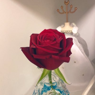 どもーどもー元気でんぱです！元気があればなんでもできる！！気合だあああ！！、、内丹が無いたんww