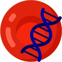 The ITHANET Portal (@ithanet_portal) 's Twitter Profile Photo The ITHANET Portal (@ithanet_portal) 's Twitter Profile Photo