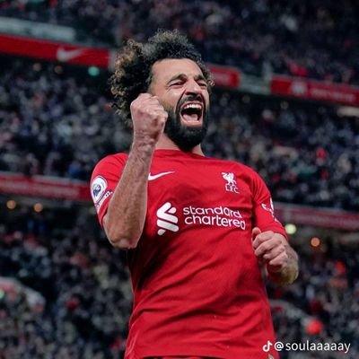 mosalah999900 Profile Picture