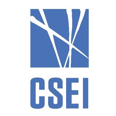 Conducting research in tomorrow’s sustainable energy infrastructure

Contact: csei@cbs.dk

Dr. Philipp A. Ostrowicz, Coordinator +4541852031