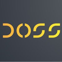 DOSSproject_HE(@DOSSprojectHE) 's Twitter Profile Photo