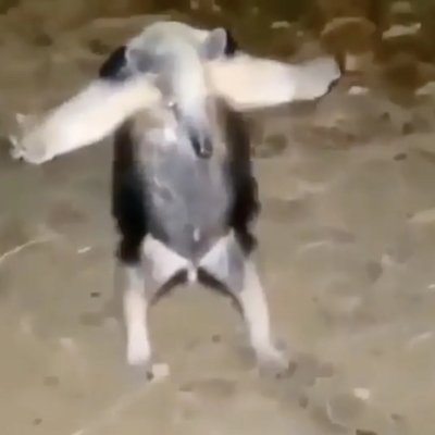 420Teyk's profile picture. 