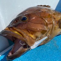 うおさん (@uosan_fishing) Twitter profile photo