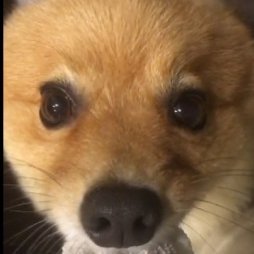 kamewore's profile picture.