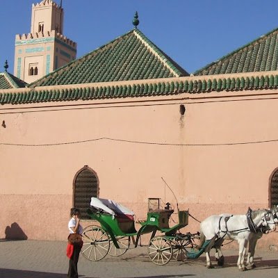 ce9192953493067's profile picture. 