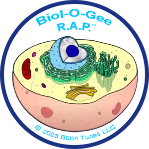 BiologeeRap's profile picture. Animated Science Tunes & Toons for high school and higher ed https://t.co/Gd0vZXkbhT…