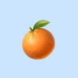 o_fl9's profile picture. ボブ