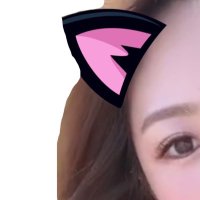 あいか先生🍮 (@aika_tec) 's Twitter Profile