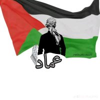 عماد محمد العصار (@owvtp0ta61ikkqw) 's Twitter Profile