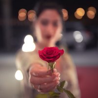Silsila Tariq (@silsilatariq) 's Twitter Profile