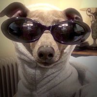 Stฮฌtix๐ฌ๐ท (@statixvfx) 's Twitter Profile