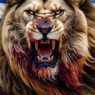 ZulloLeo1's profile picture. American truthseeker In God I Trust🙏❤️🇺🇸🌎🌍🌏conservative American 🇺🇸🌎🇺🇸MAGA🇺🇸Patriot❣️🇺🇸🇺🇸🇺🇸🌎🌏🌍