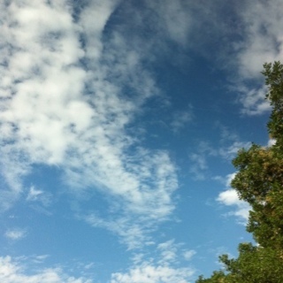 KanzQ8's profile picture. 