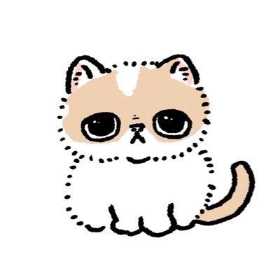 エキゾチックショートヘアの女の子、むにちゃんです🐱Instagram、YouTube、TikTokもやってます🐱noteでは、猫漫画や日記ブログを更新してます🐱