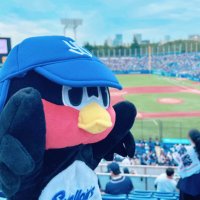 こぶち(*´-`)个 (@bsb11_n) 's Twitter Profile