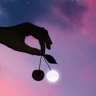 Xinlinsq's profile picture. 