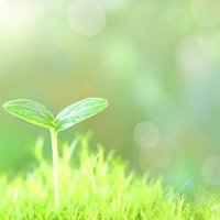 おかみさん (@okamiisanda) Twitter profile photo