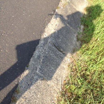 DahliaXw's profile picture. 
