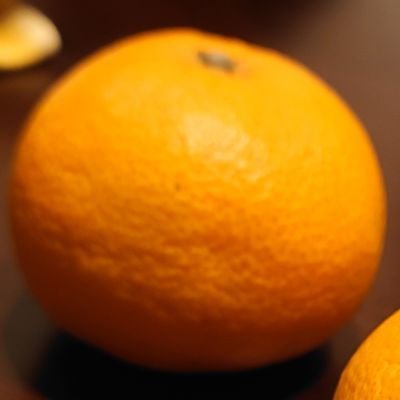 boobooboob1000's profile picture. 愛知住み。みかんおいしいよね。