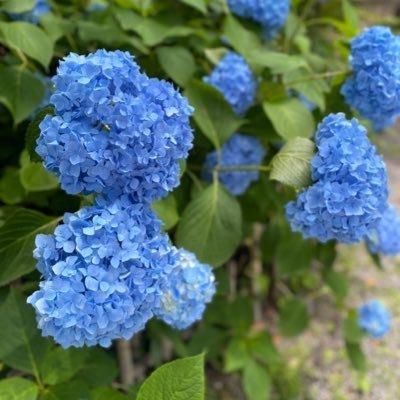 yunora9's profile picture. お得が大好きな平凡な主婦です