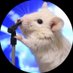 masa (@masametal) Twitter profile photo masa (@masametal) Twitter profile photo